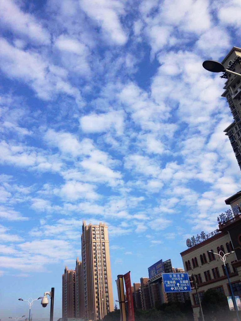 「上海写録365左右」始まります