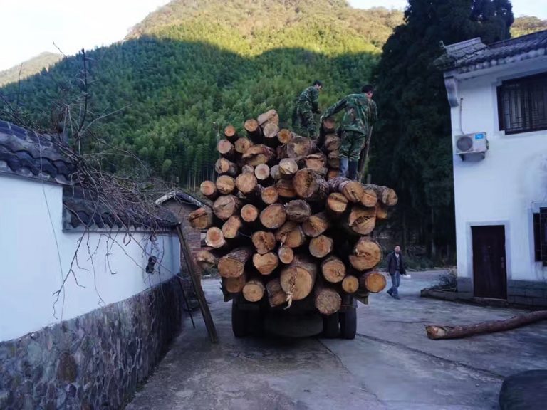 下一个茶季的准备
