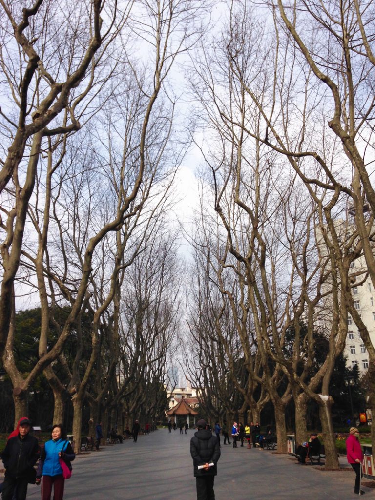 今日は「惊蛰」（Jīngzhé：啓蟄）