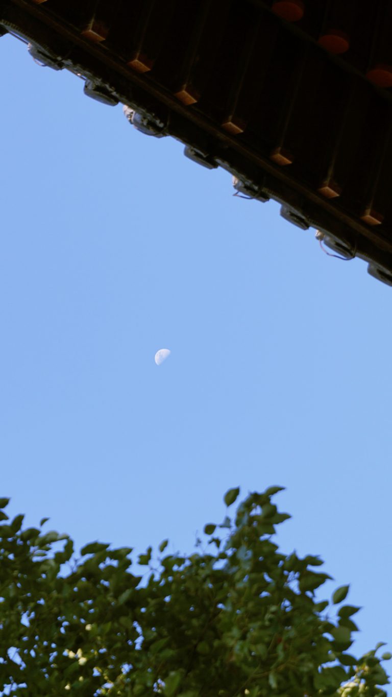 白昼的月亮（Báizhòu de yuèliàng：真昼の月）