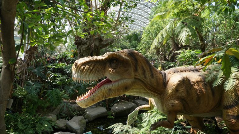 春の植物園に怪獣（Guàishòu）がっ！