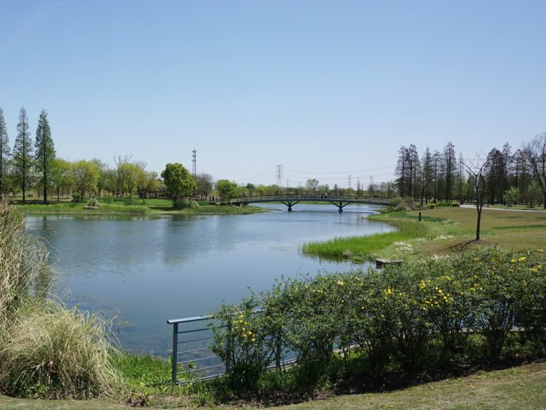 春は遠足で上海郊外の植物園へ花のゲートや洞窟に滝、そして恐竜も。
