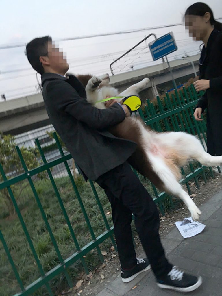 捕獲されました
