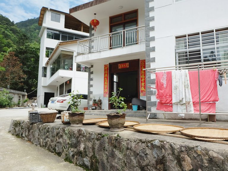 上海から武夷山へ：古茶道を旅する・その４