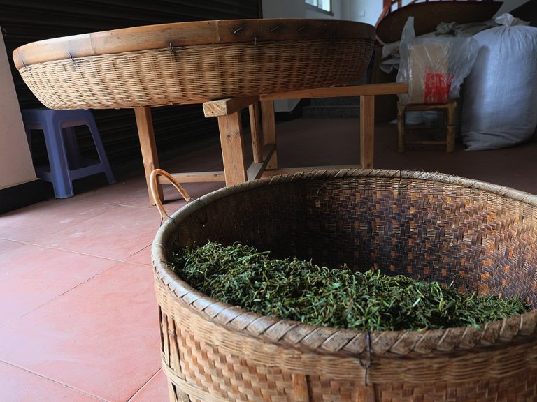 上海から武夷山へ：古茶道を旅する・その５