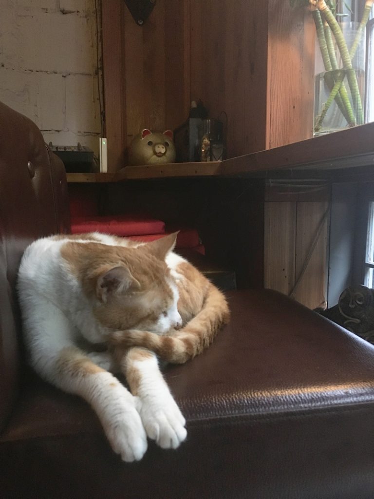 午睡中(Wǔshuì zhōng：お昼寝中)