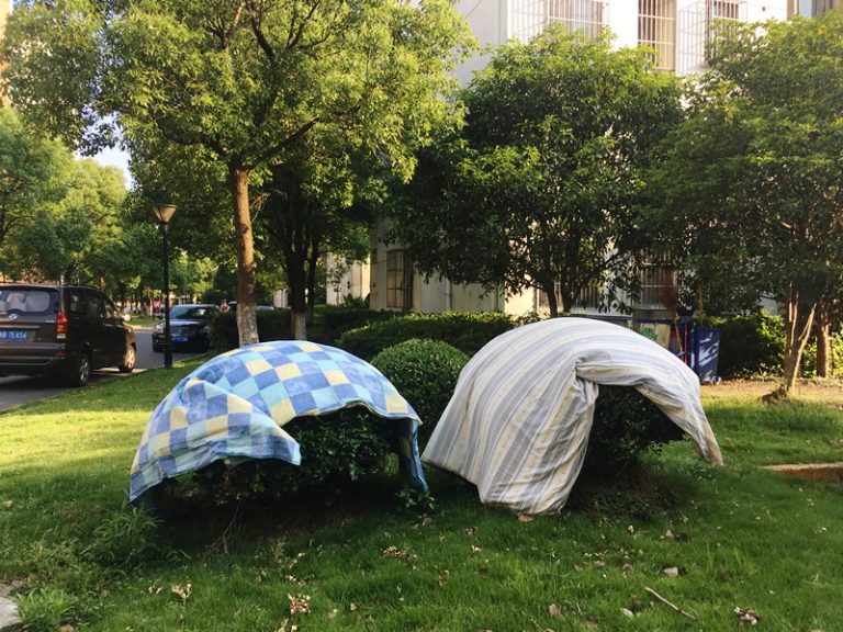 晒太阳（Shài tàiyáng：日向干し)