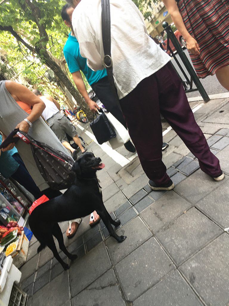 黒狗（Hēi gǒu：クロイヌ）