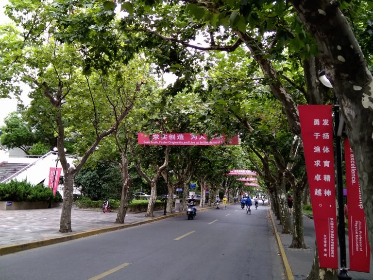 留学生の声：『夏休み特別編』その２