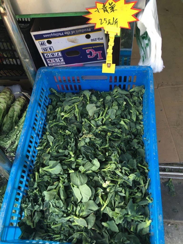 季節の野菜: 小青菜